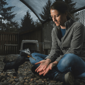 Melisa Colvin, Bird Curator, Wildlife Center of the North Coast